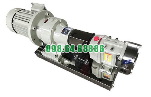 Máy bơm lobe 3RP-80 lưu lượng 24 m3/h kết nối DN80